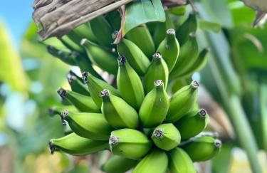 Artistic Retreat, King Suite with Private Balcony! - Foto 60