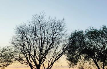 Casa Capricho del Destino - Foto 28