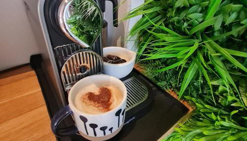 THE ANNEX, Lostwithiel Double Bed, Private Parking, Quiet Location - Foto 3