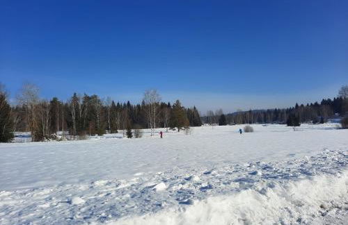 Appartement 13 im Haus Dreisessel - Foto 41