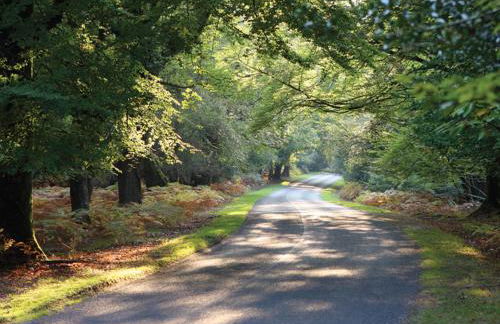 Spacious family cottage with private garden and forest walks - Foto 23