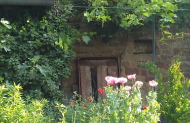 Willkommen in unserem kleinen Paradies - Foto 29