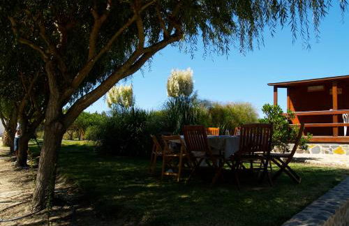 Herdade do Sardanito da Frente - Foto 65