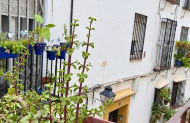 Nueva Córdoba Judería - Foto 40