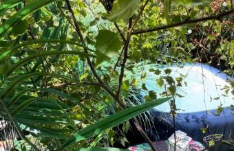 Sandy feet retreat - Photo 9