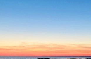 Les hortensias de papy - Foto 25