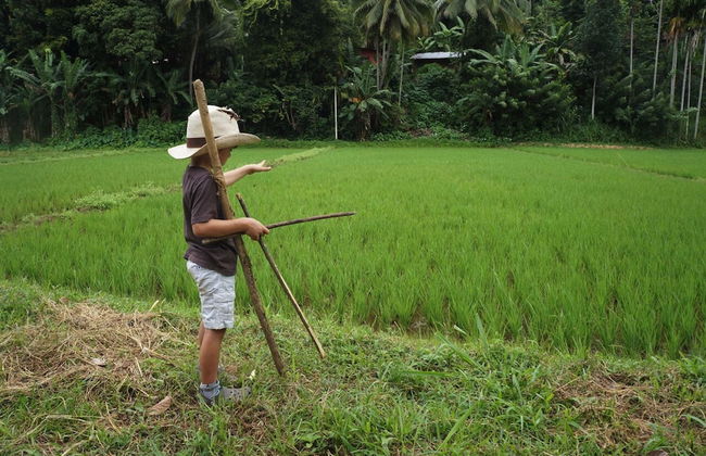 Captain's Bungalow - Foto 11