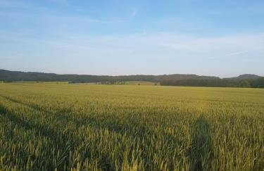 Haus am Zabelstein - Foto 26