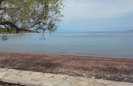 Armonia Houses - Photo 47