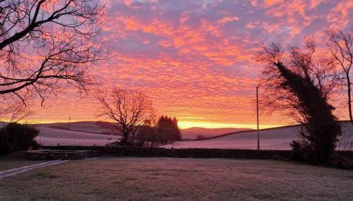 Amazing Cottage & detached Annex sleeps 8, Extra Deep Hot tub, Super Fast wifi, New for 2024 is the addition of Wood Fired Sauna - Foto 5, Garden