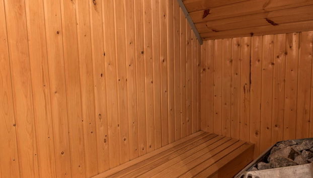 8 Person Holiday Home in Ringkobing - Foto 2, Sauna