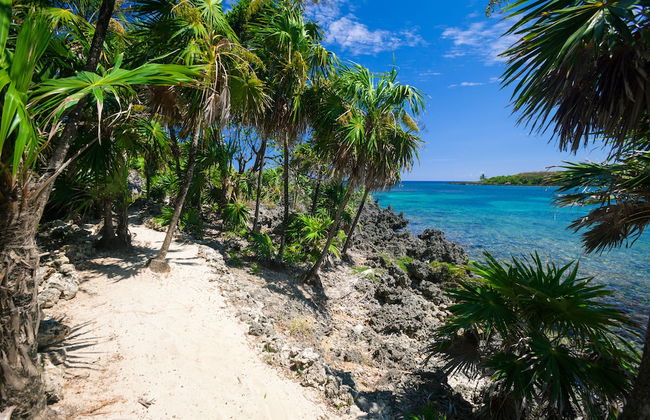 Coral Vista #5 - Foto 32