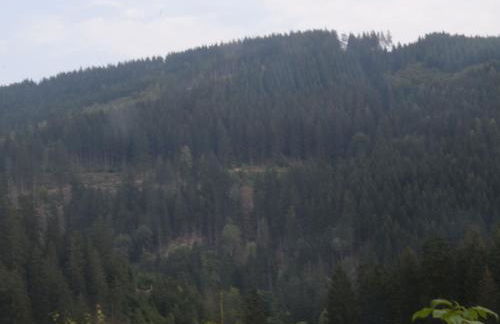 Charmantes Dachgeschoss-Refugium, Harz - Foto 16