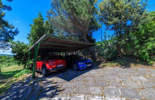 Apartment Josip - Foto 16