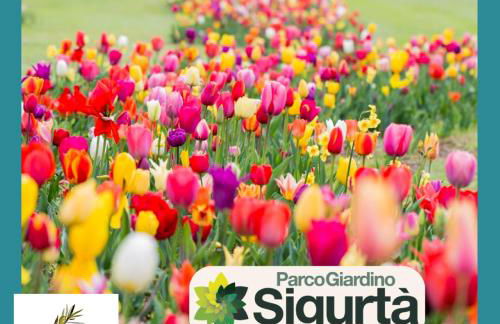 Studio Centrale Pacengo di Lazise - Foto 13