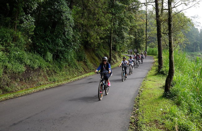 Bagus Agro Pelaga - Foto 60