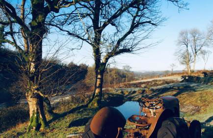 Cambrian Cottages - Charming Countryside Barn - Photo 111