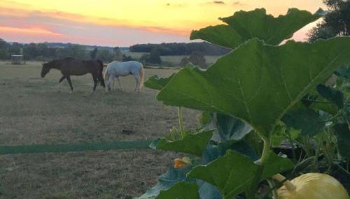 LA CHARMILLE Jolie maison de campagne 15 personnes piscine calme - Foto 4, Garden