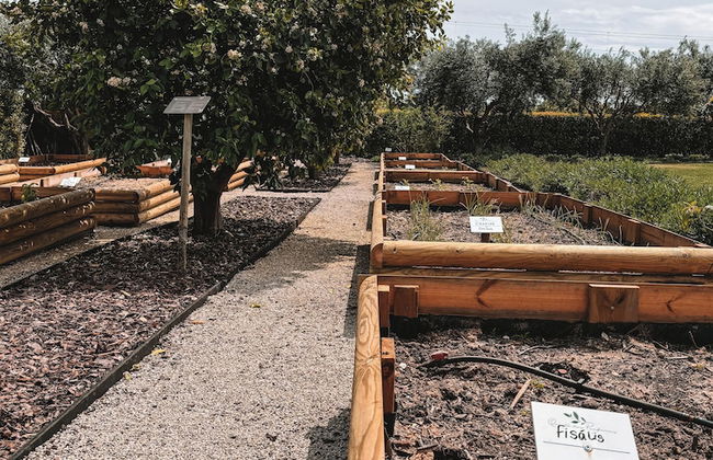 Quinta dos Perfumes - Photo 71