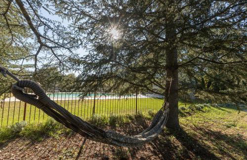 Rouleraventoux, Gîte sportif avec piscine, sauna, salle de sport, jardin - Foto 34