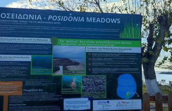 Maria's home - Foto 49