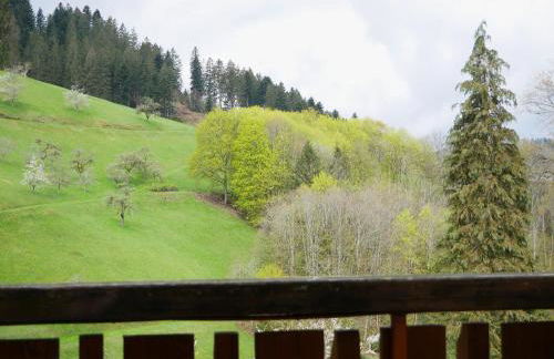 Bühlbauernhof - Foto 34