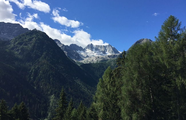 Residence Failoni - Photo 11