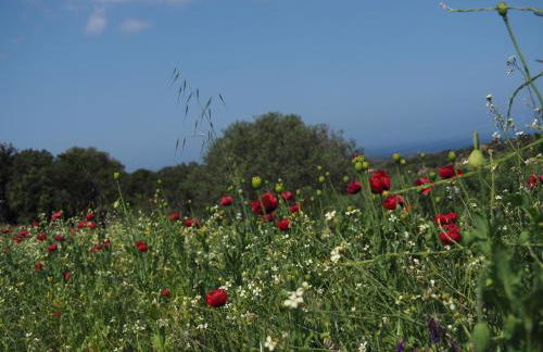 Stazzu Giasti Agriturismo - Photo 70