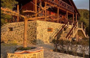 ktima Tzouros - Κτήμα Τζούρος - Foto 2