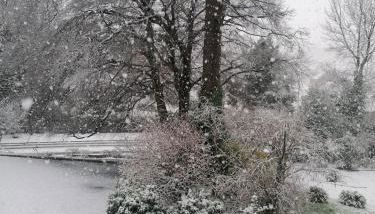 The Beeches - Foto 2