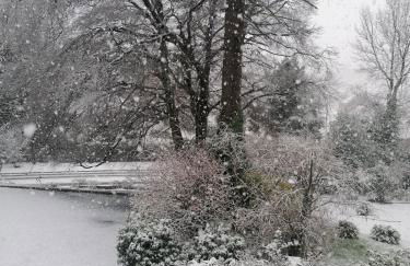 The Beeches - Foto 2