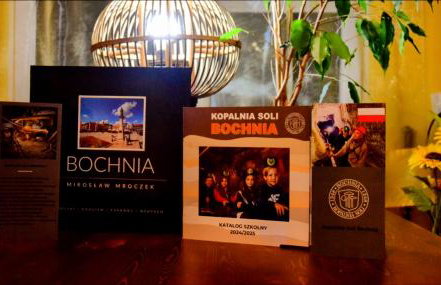 Salt Mine Apartment Bochnia by OTH - Foto 10