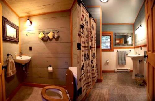 Lakefront Cabin Getaway near Adirondack Mountains in Salisbury, New York - Foto 10