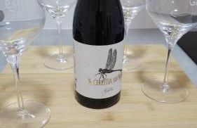 casa Chloe - Foto 48