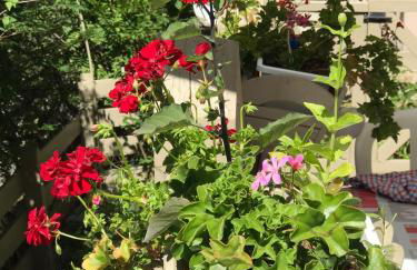 Bas de chalet station La Foux - Foto 41