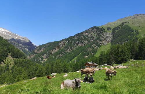 Agriturismo Malga Pontevecchio - Foto 1