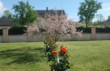 la champagnolaise - Foto 9