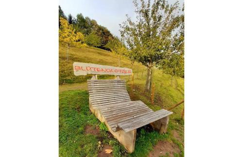 Ferienglück Unterkirnach - Foto 19
