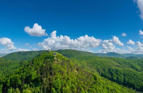 ROMANTIC-Apartment - Altbauflair mit Dachterrasse & Waldblick, Maisonette, 80m2 - Foto 41