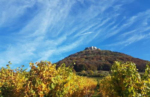 Studio 22, Terrasse,Pool,Sauna,Ofen - Foto 25