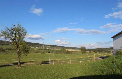 AnNo - Die Wohlfühl - Idylle in Grünbach_Kirchdorf - Foto 26