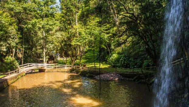 Contemplando la belleza natural de la región