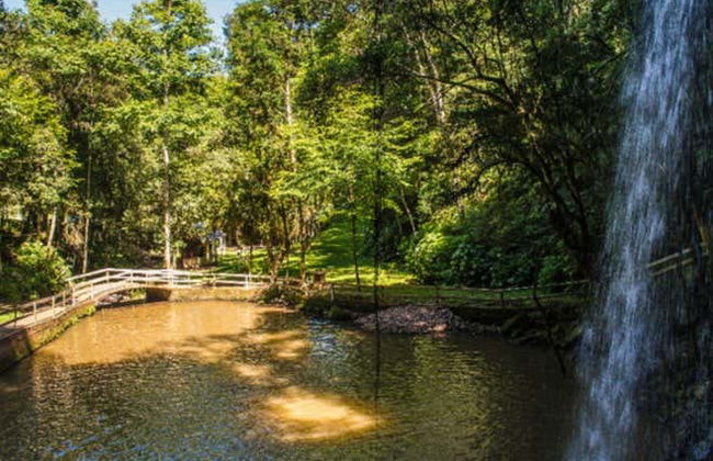 Caminhos da Colônia Tour - Photo 5