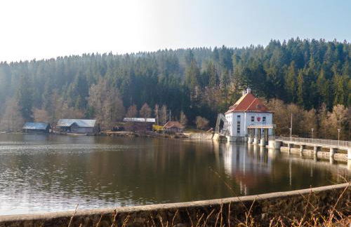 Ferienhaus Nr 18B1, Feriendorf Hagbügerl, Bayr Wald - Foto 22