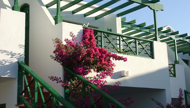 HG Lomo Blanco - Photo 2