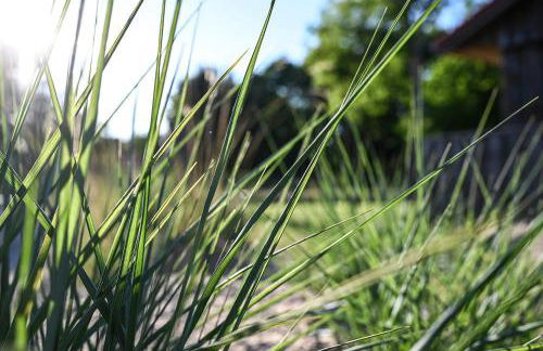 Lütter Lünk - Foto 35