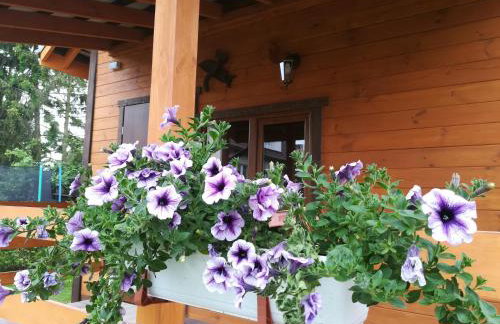 Domek pod jabłonią Mikoszewo - Foto 14