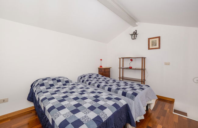 La nave del té - Foto 5