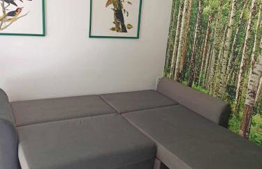 Studio Leśne - Foto 18