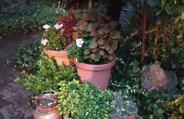 Dom wakacyjny - Foto 15